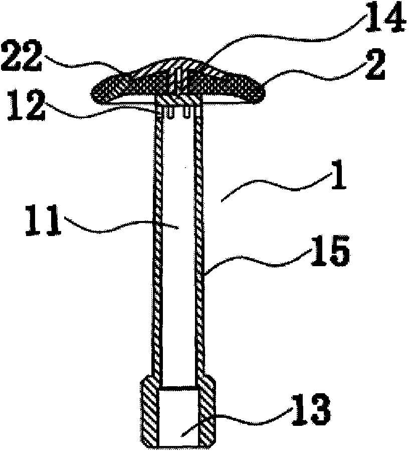 Rectal administration apparatus