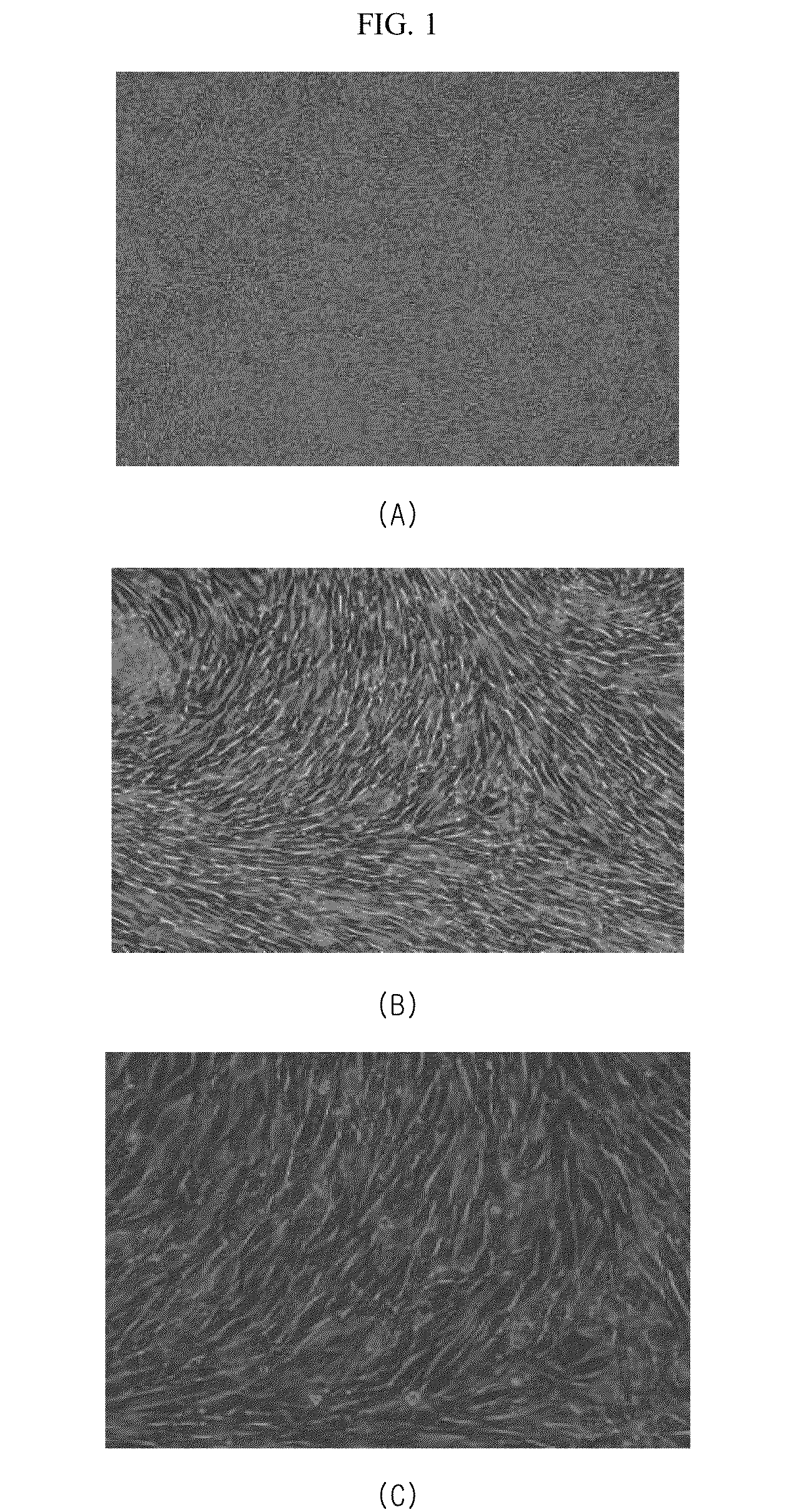 Multipotent adult stem cell derived from canine umbilical cord blood, placenta and canine fetus heart, method for preparing the same and cellular therapeutics containing the same