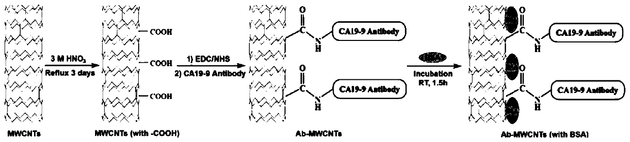 Detection method of paper-based sensor based on specific CA19-9 antibody