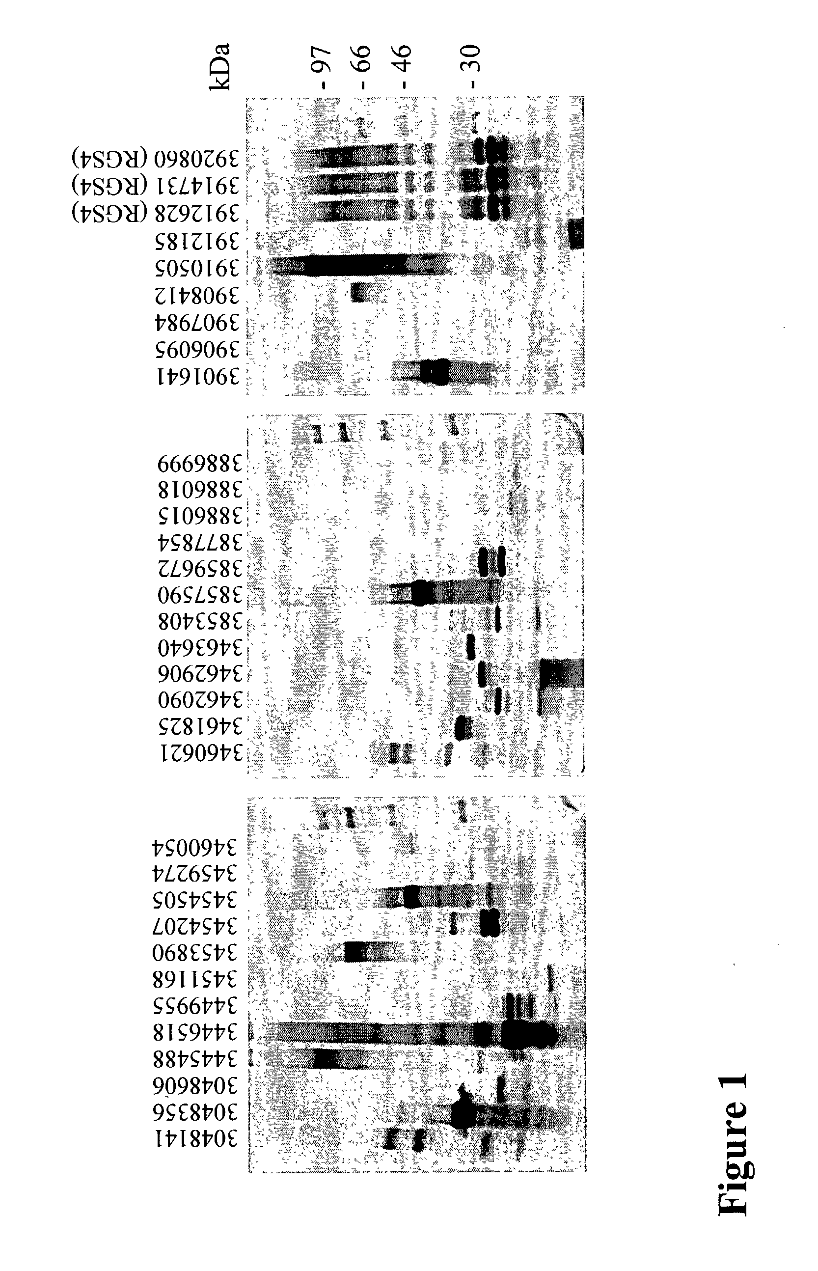 Methods, reagents, kits and apparatus for protein function analysis
