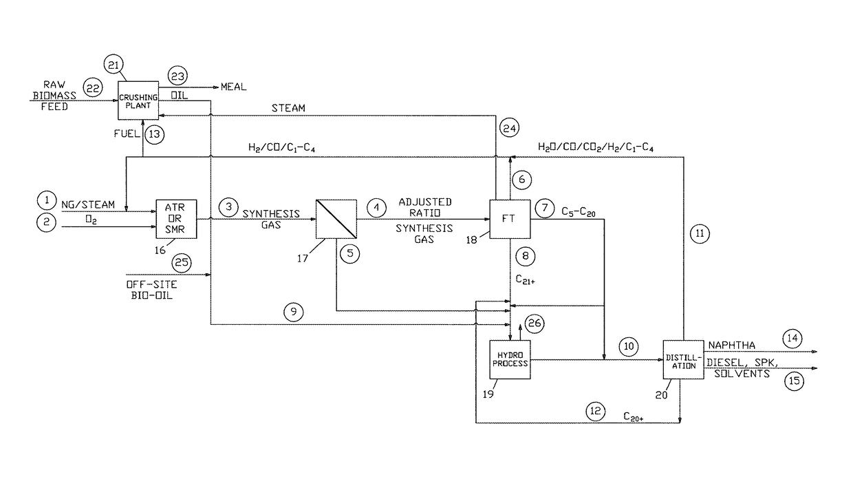 Integrated fuel processing with biomass oil