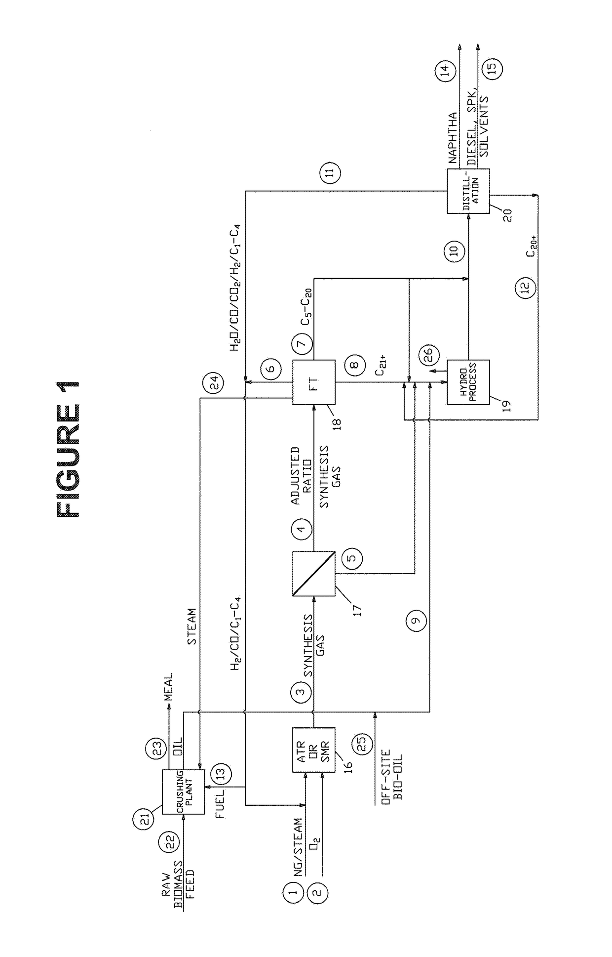 Integrated fuel processing with biomass oil