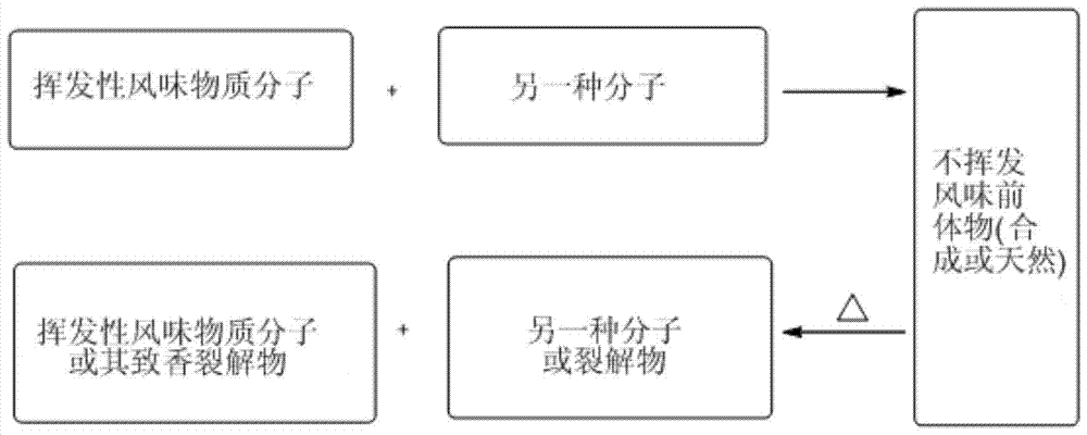 Latent fragrance compound based on ambroxolactone and its preparation method and application