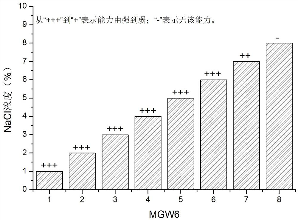 A kind of preparation and application method of seed biostimulant sb-mgw6