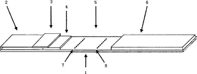 Kit for detecting creatine kinase isoenzyme and preparation and use methods thereof