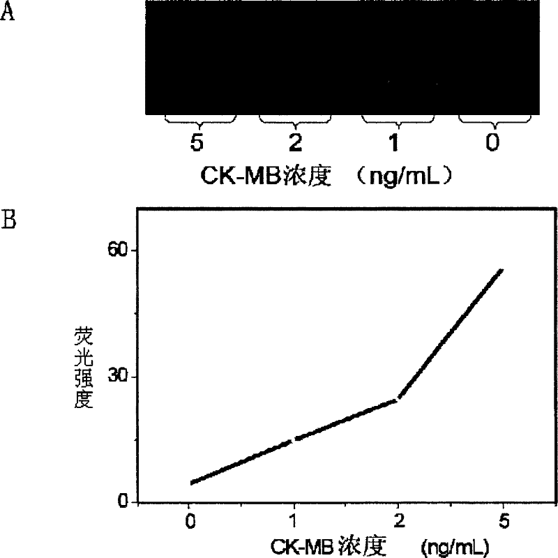 Kit for detecting creatine kinase isoenzyme and preparation and use methods thereof
