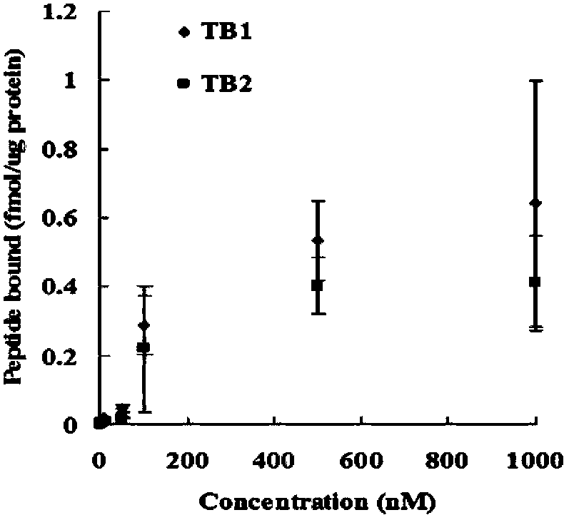 Gene delivery system of targeting brain capillary endothelial cell