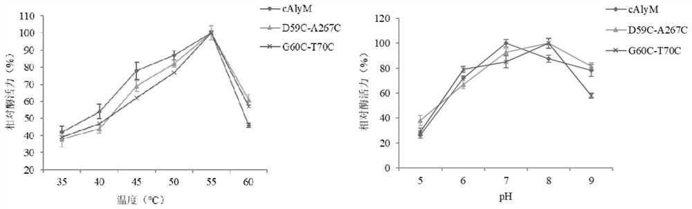 A thermal stability and high enzyme activity recombinant alginate lyase and its application