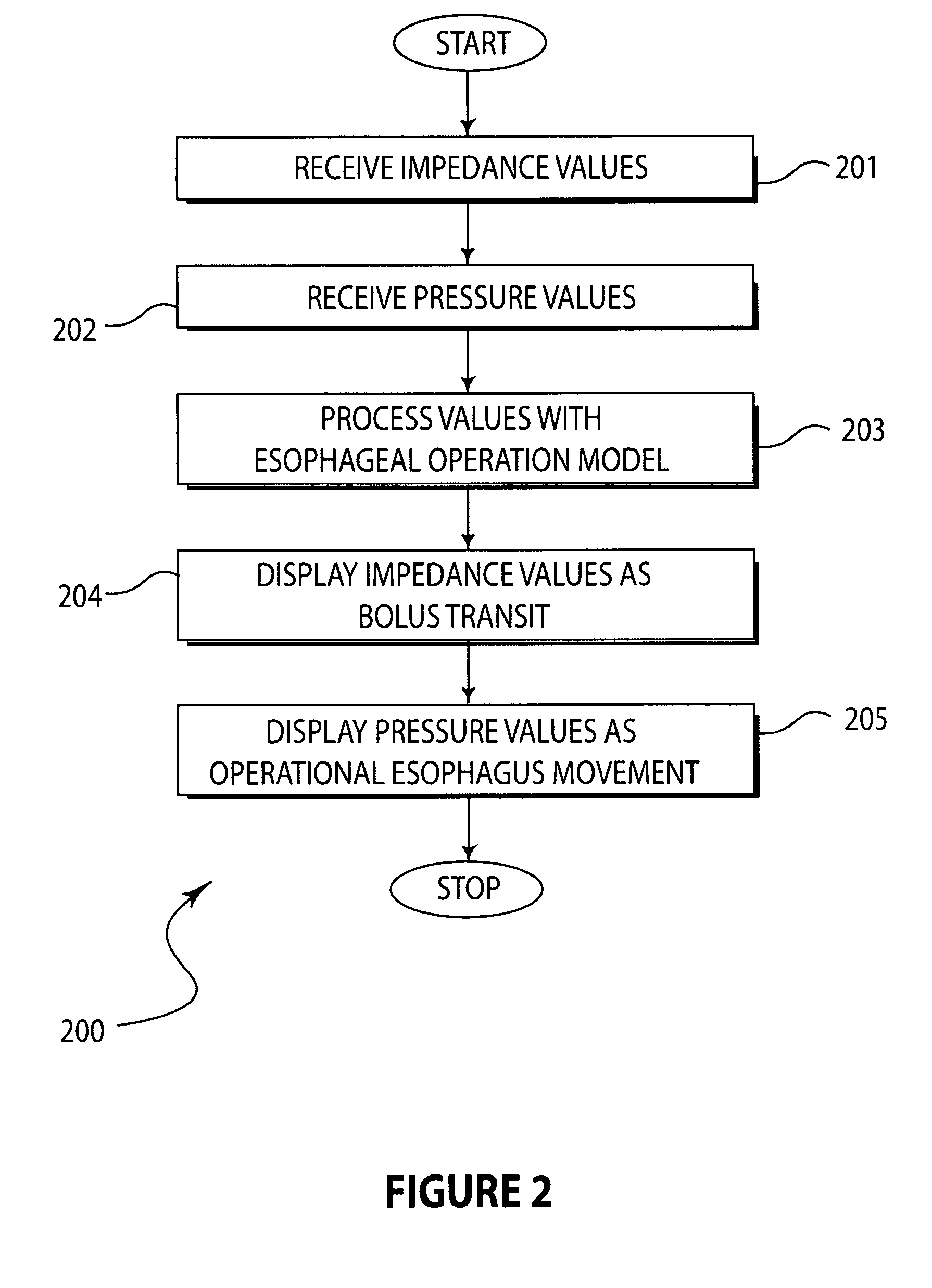 Esophageal function display and playback system and method for displaying esophageal function