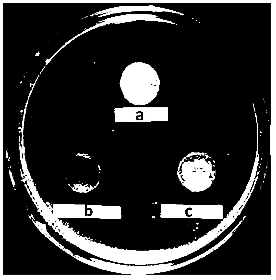 Lactic acid bacterium culture medium