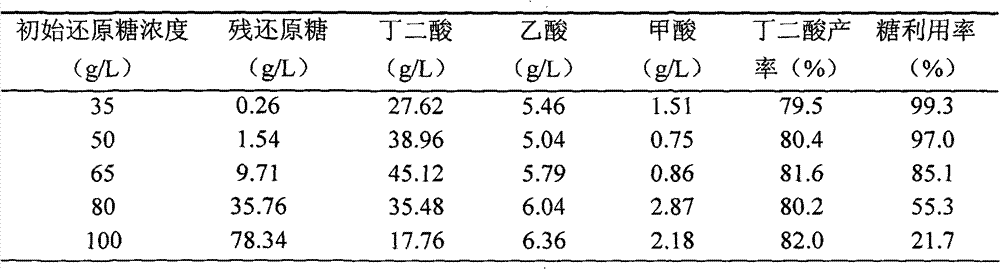 Method for producing succinic acid by Canna edulis ker fermentation