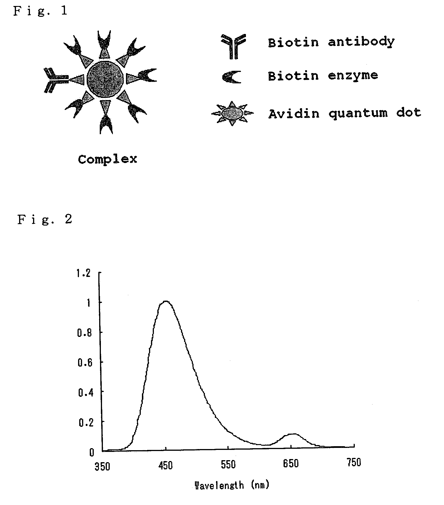 Visible to near-infrared light probe comprising complex of cypridina luciferase and quantum dot