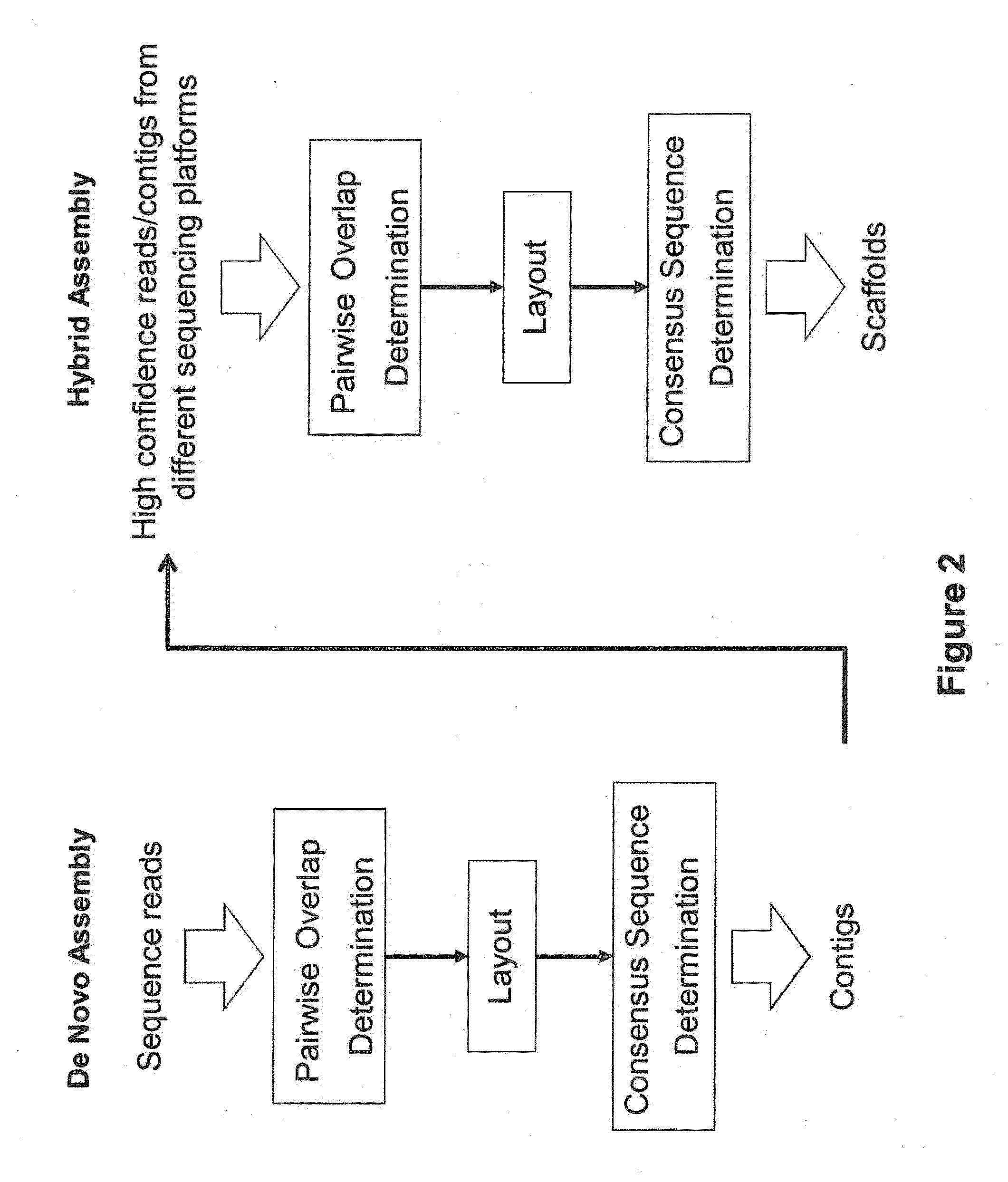 Sequence assembly and consensus sequence determination