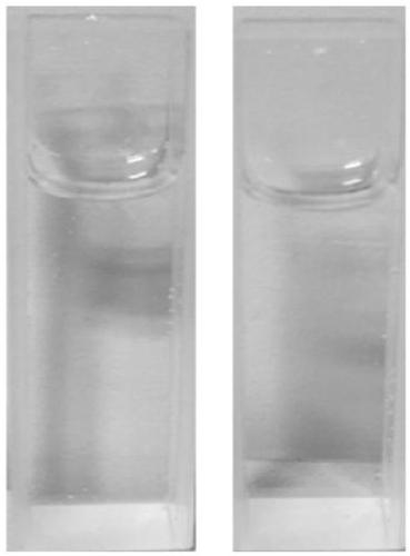 A kind of two-photon lysosome pH fluorescent probe and its preparation method and application