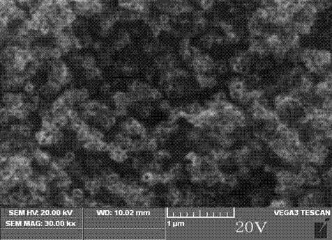 Preparation method for strengthening responses of titanium dioxide nanotubes to visible light