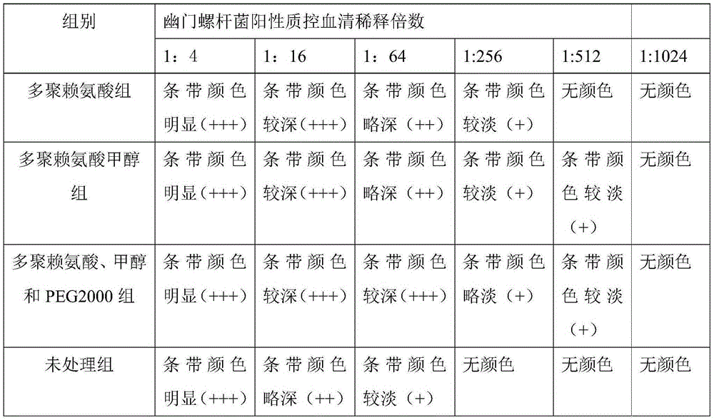 Helicobacter pylori urease antibody IgM-IgG combination rapid test device and preparation method thereof