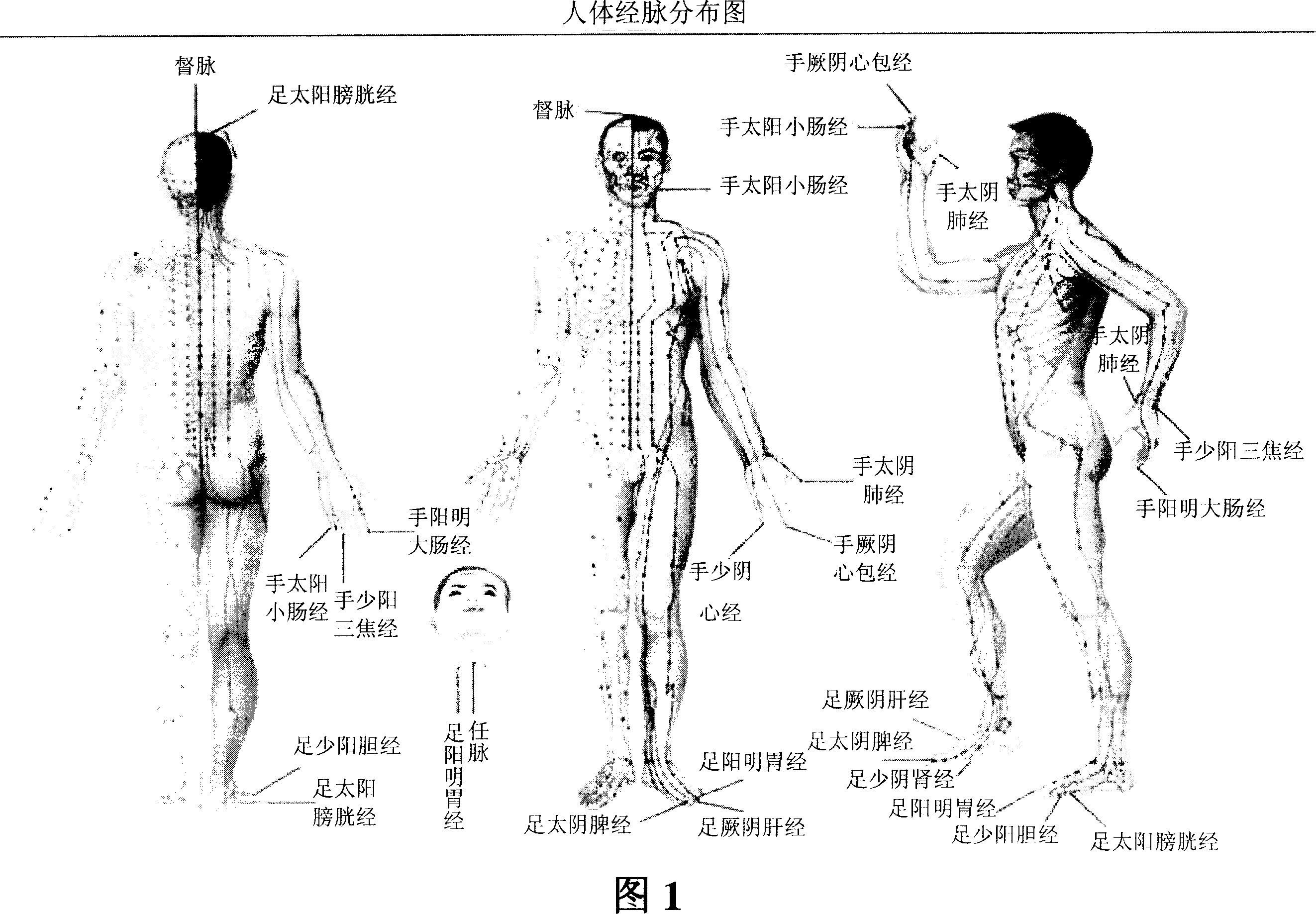 Simulated humanbody channel collateral cartoon presenting system capable of excuting by computer and method therefor