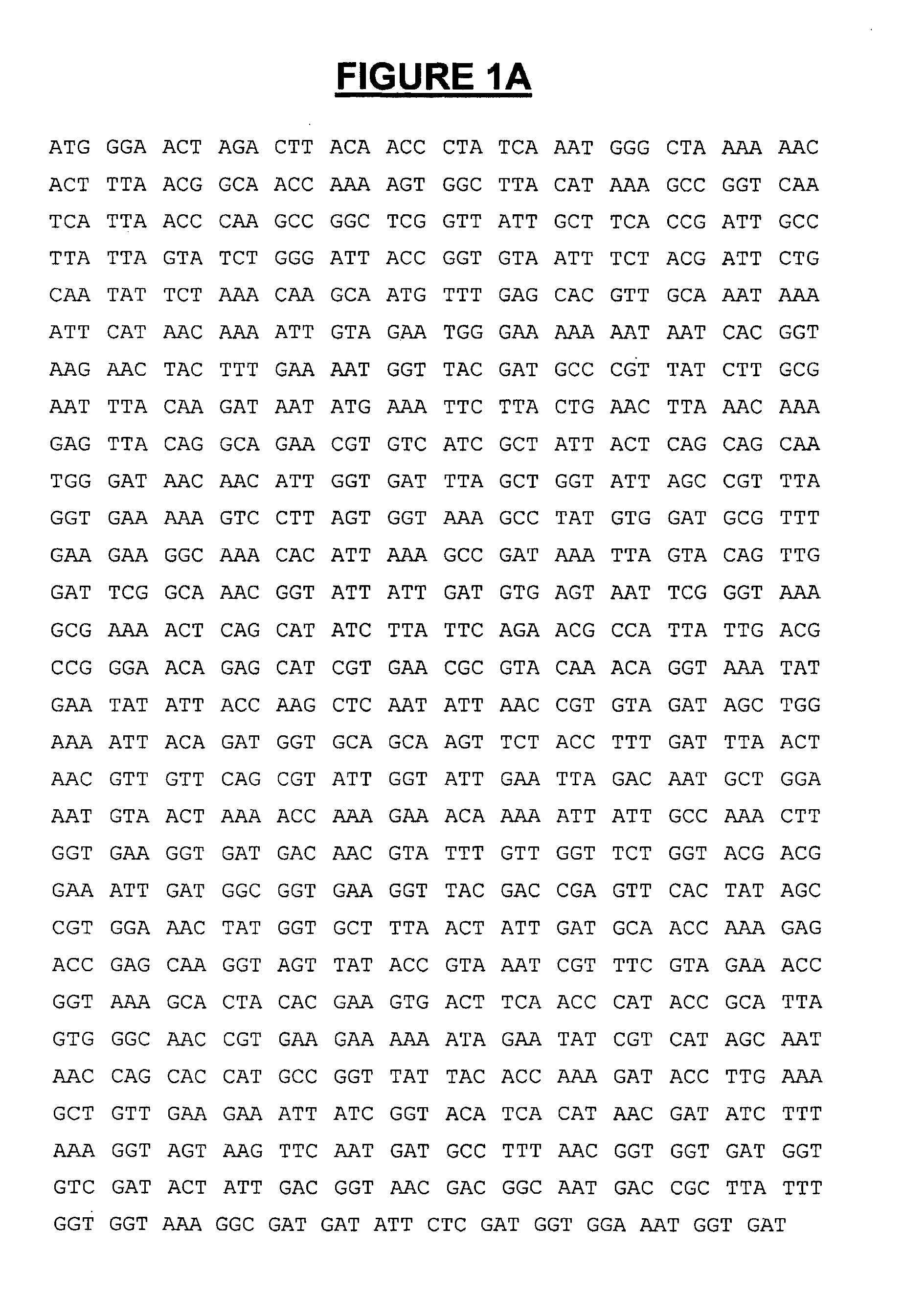 Modified leukotoxin gene and protein