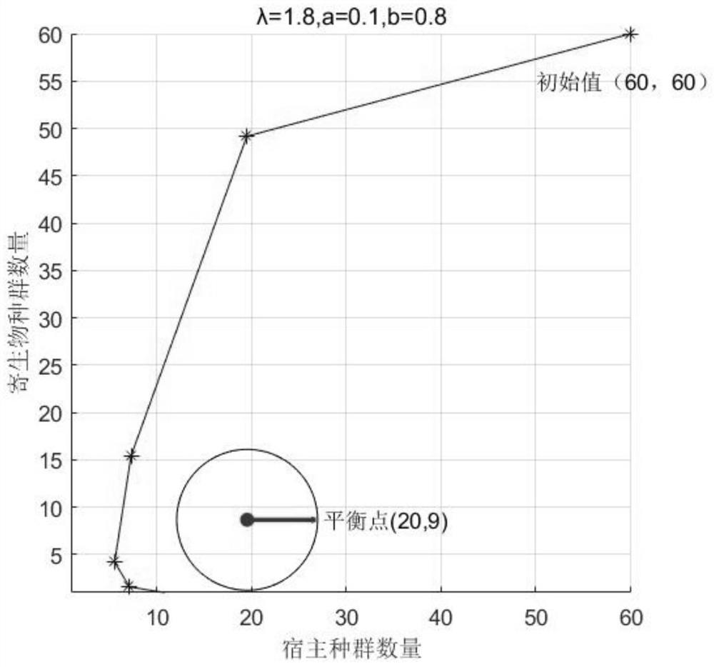 A population balance system and method based on Taylor expansion optimization