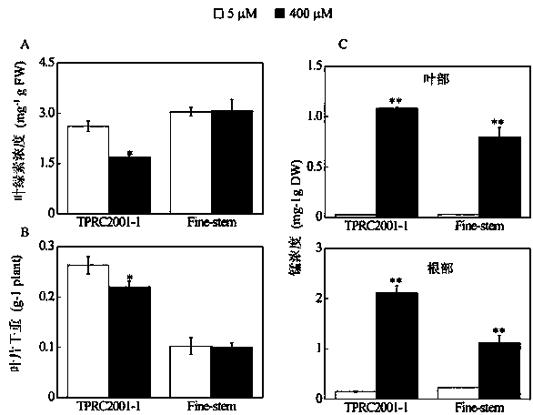 Clone of plant manganese poison-resistant important gene ShMDH1 and application thereof