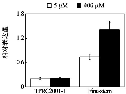 Clone of plant manganese poison-resistant important gene ShMDH1 and application thereof