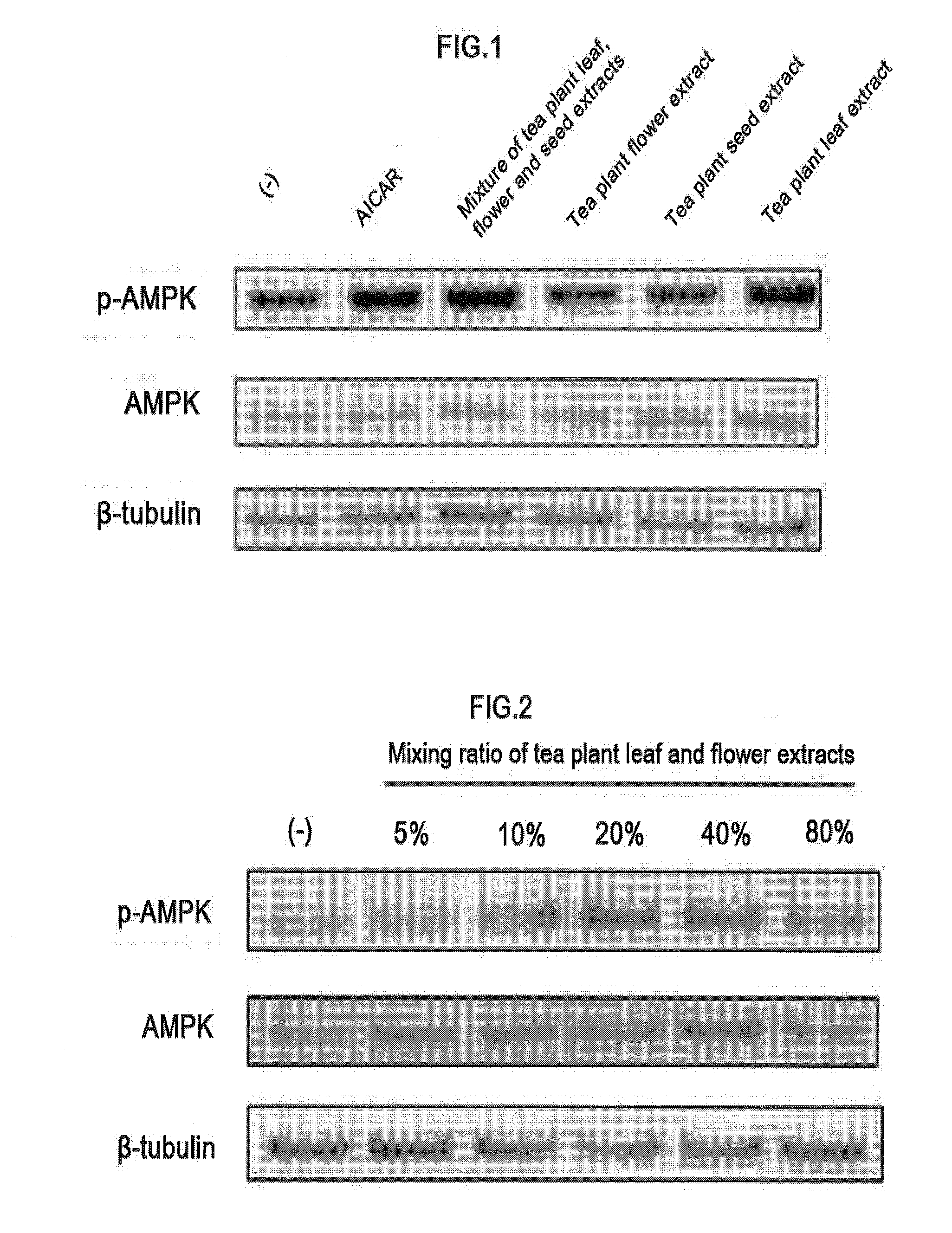 Composition for preventing or improving metabolic syndrome comprising tea plant leaf, flower and seed extract