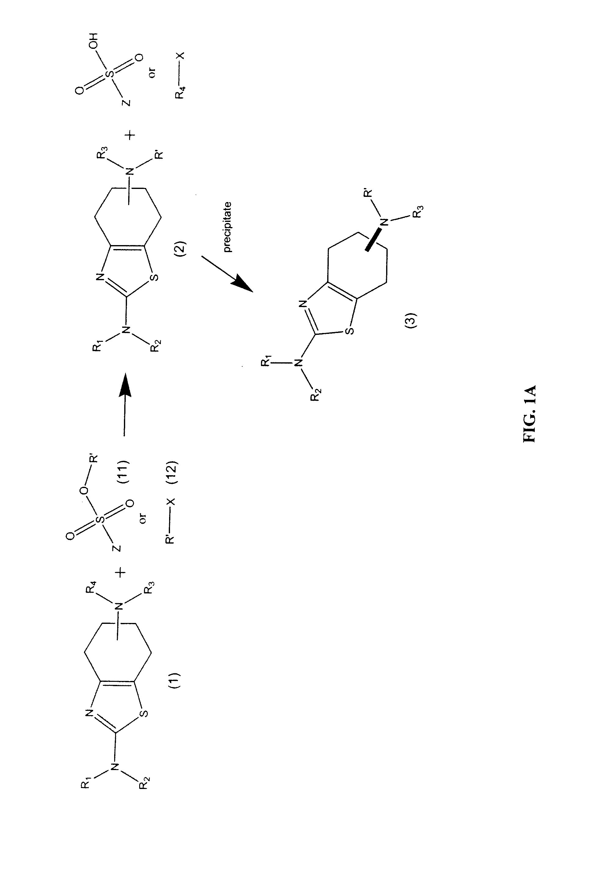 Synthesis of chirally purified substituted benzothiazole diamines