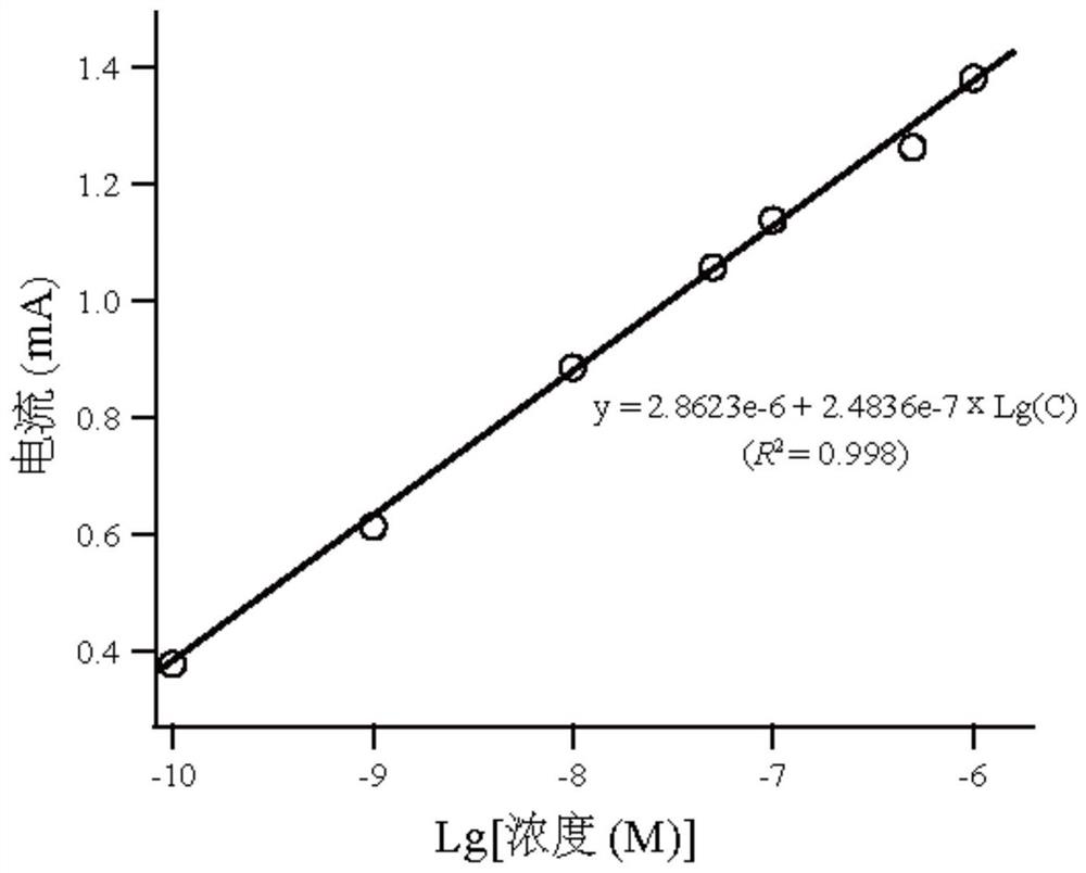 Non-enzymatic electrochemical sensor for detecting glutamic acid concentration and detection method adopting non-enzymatic electrochemical sensor