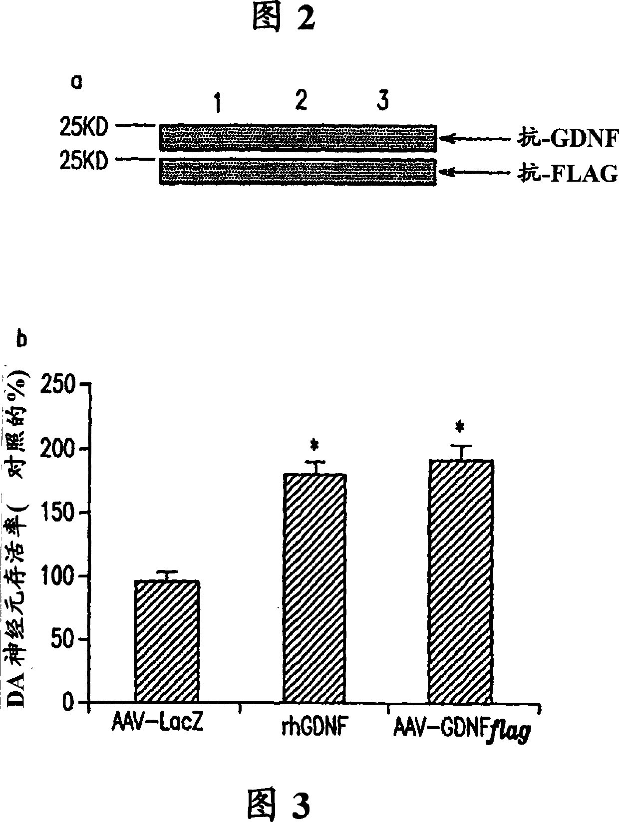 Compositions and methods for treating neurodegenerative diseases