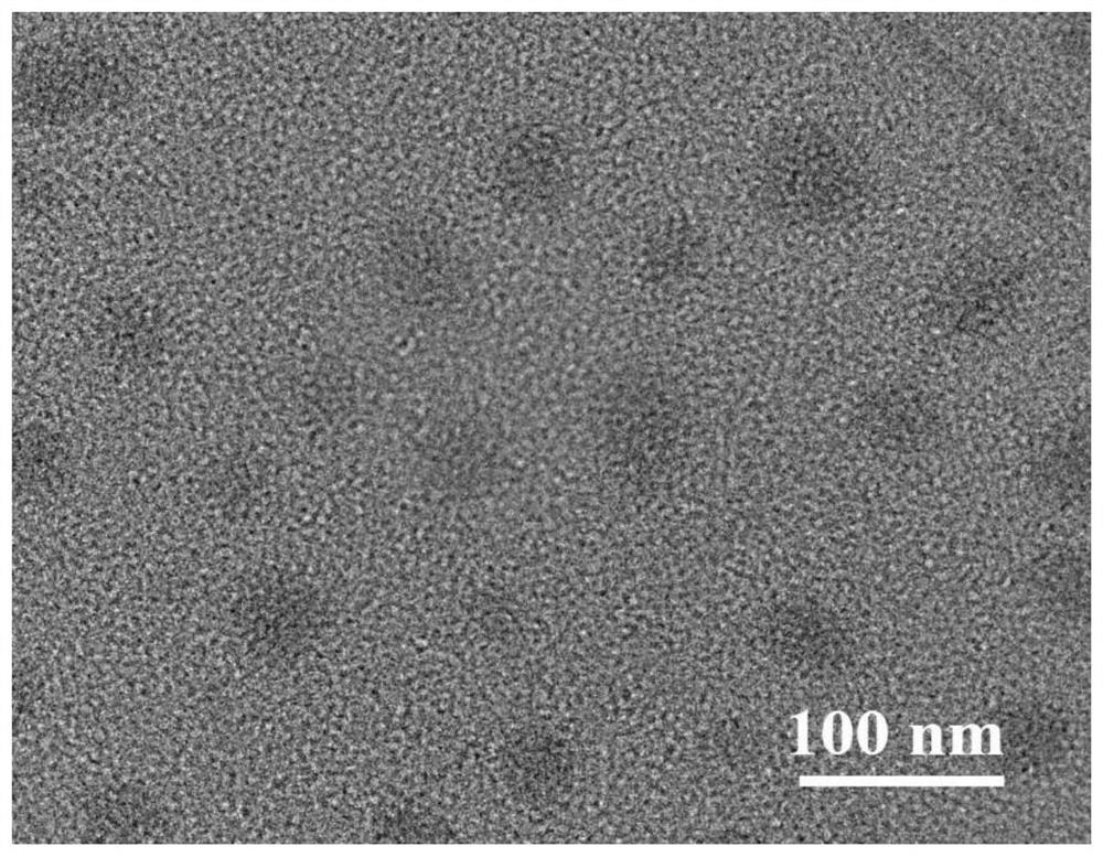 A targeted drug-loaded nano-micelle and its preparation method and application