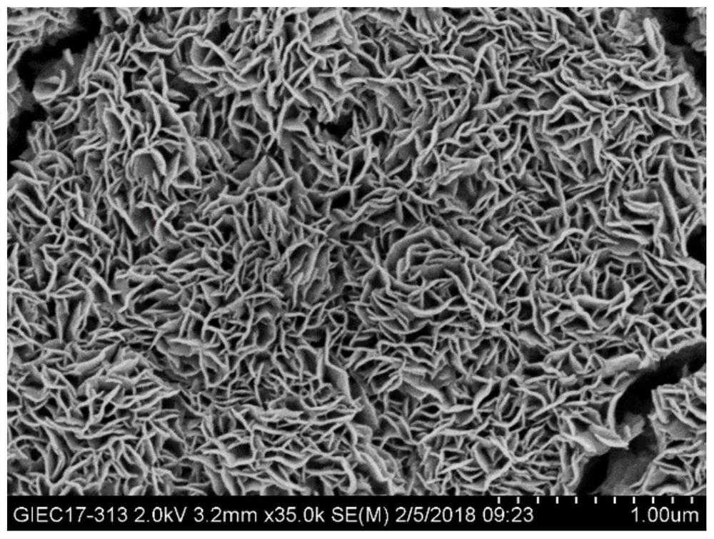 A kind of preparation method of ratiometric broad-spectrum photoelectric immunosensor