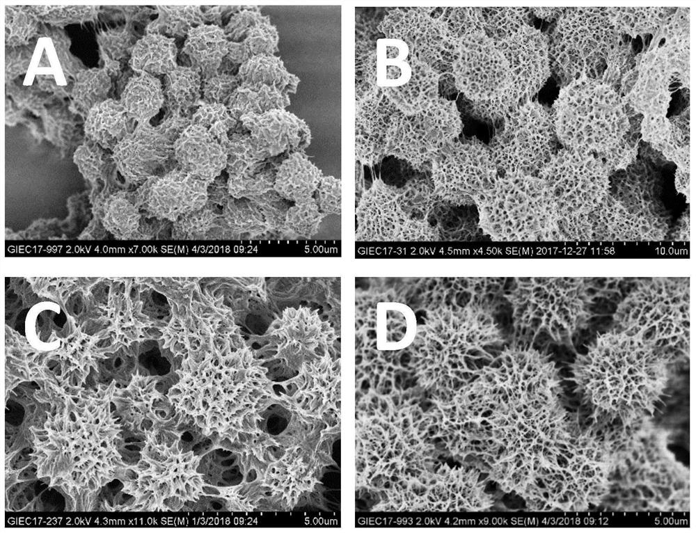 A kind of preparation method of ratiometric broad-spectrum photoelectric immunosensor