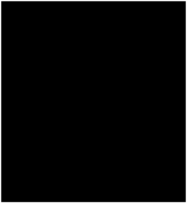 Middle scale sample, preparation method thereof and application of sample