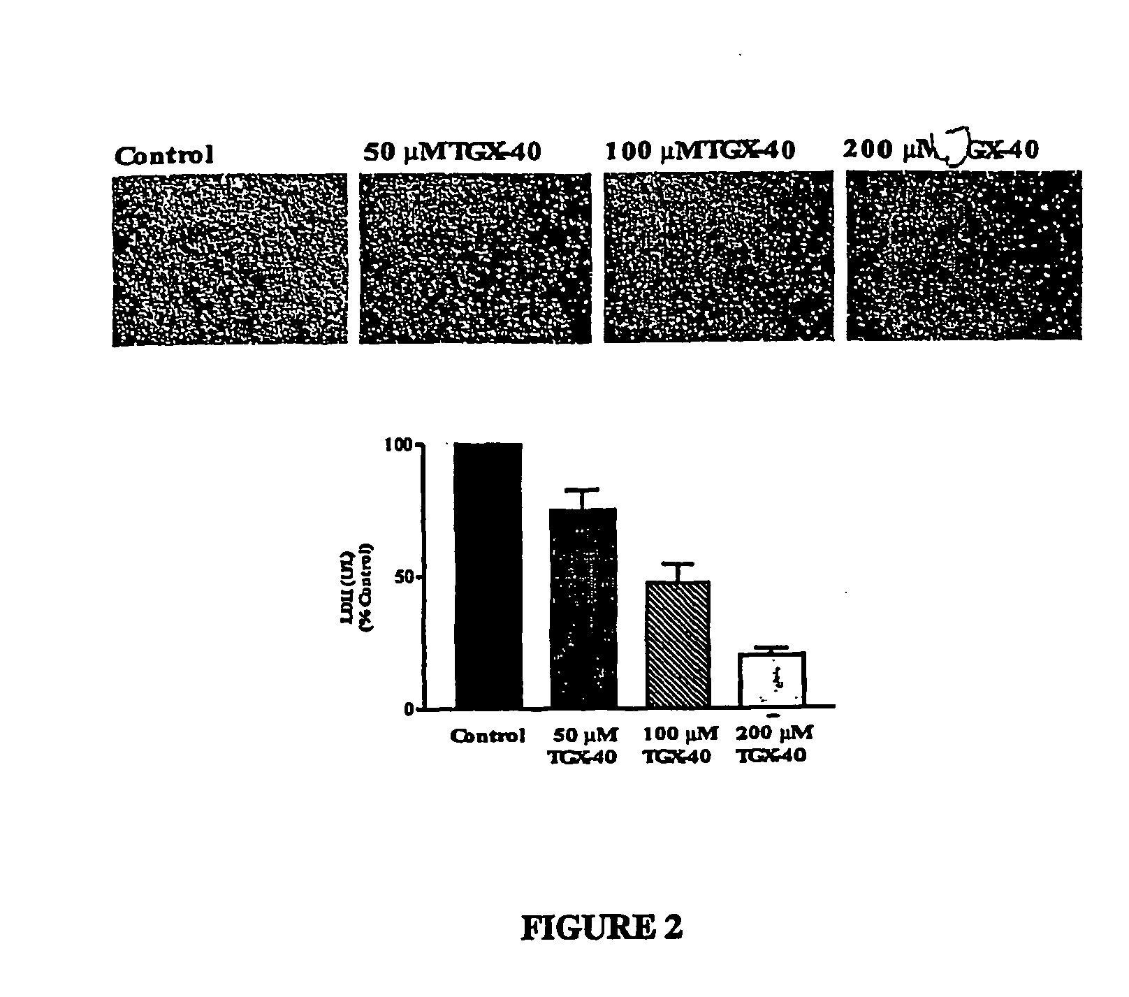 Therapeutic morpholino-substituted compounds