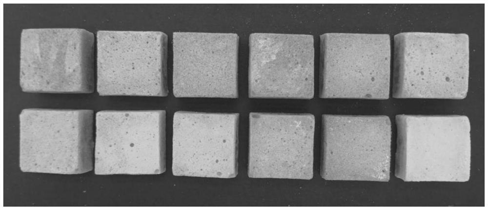 Method for Improving the Texture and Color of Vacuum Freeze-drying and Recombined Apple Chips