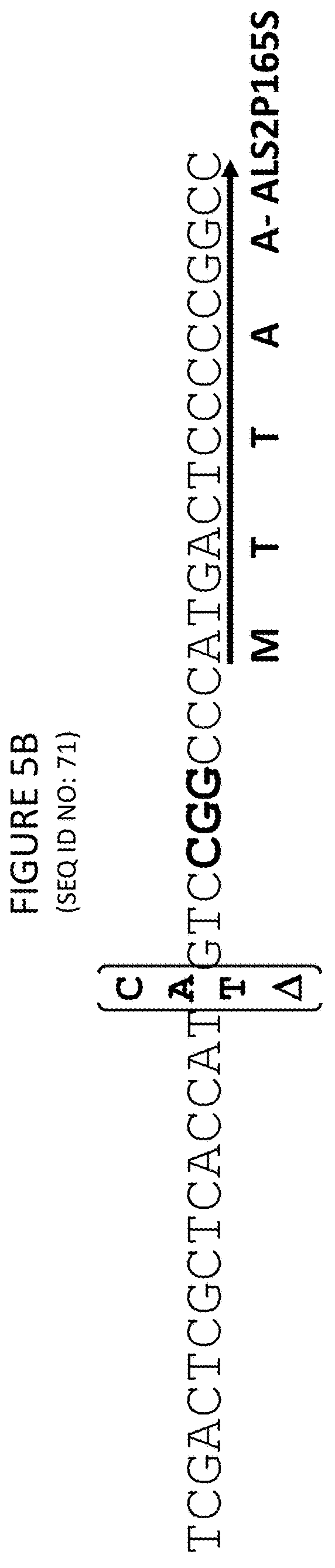 Methods and compositions for marker-free genome modification