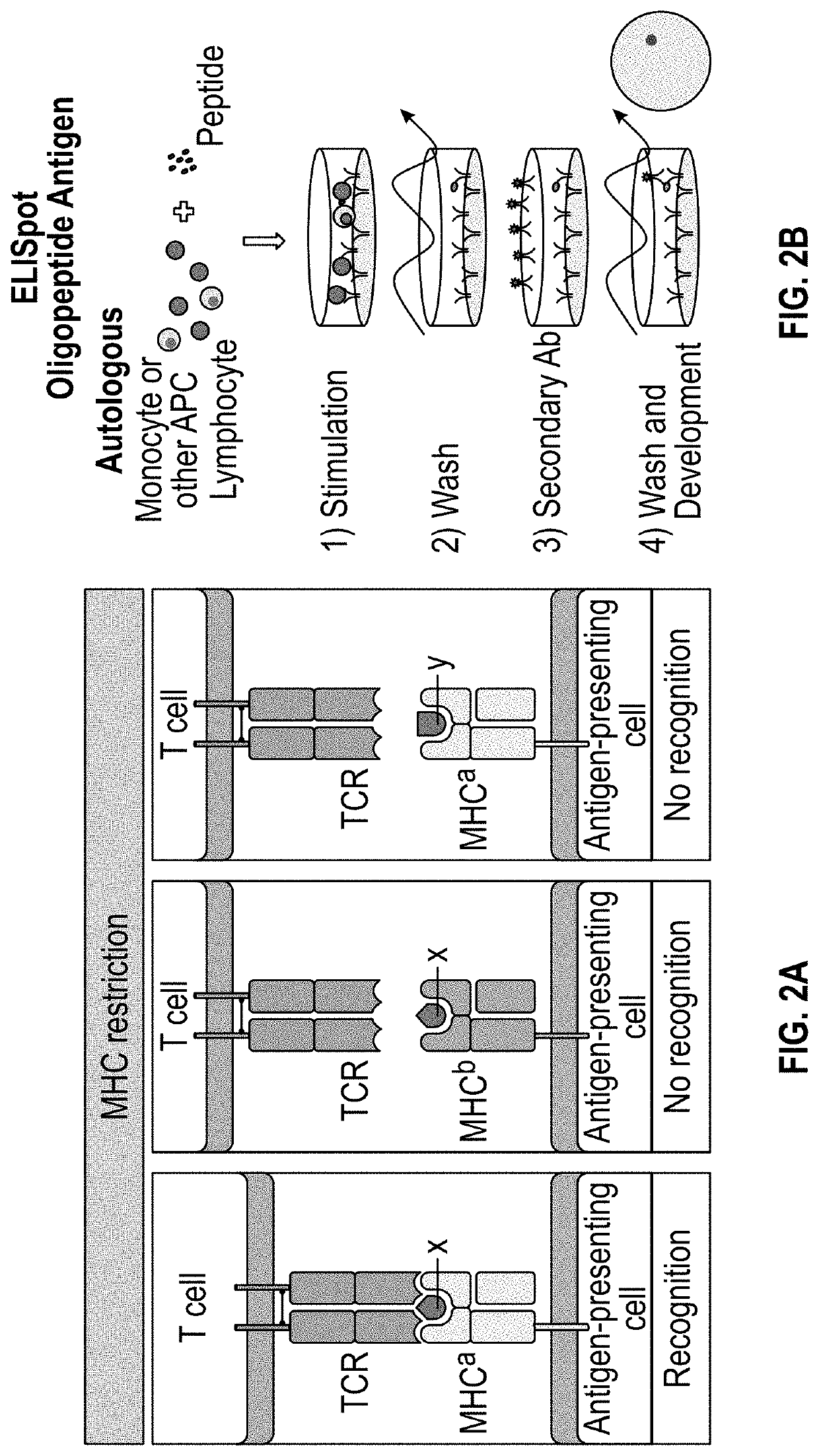 Methods and delivery of allogeneic cell products