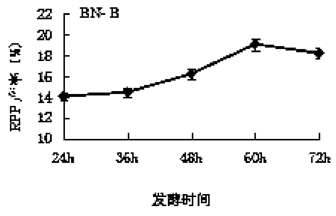 Bacillus natto and application thereof to fermenting ruditapes philippinarum to prepare active polysaccharides