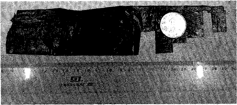 Method for continuously synthesizing single-wall carbon nano tube by high temperature chemical vapor deposition method