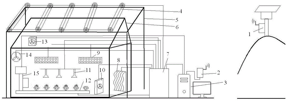 Dendrobium officinale growth environment following system and method