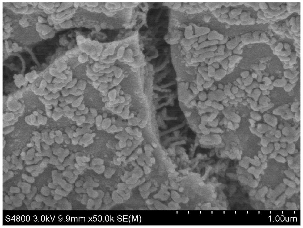 A kind of fes nanomaterial based on carbon cloth directional growth and its preparation method and application