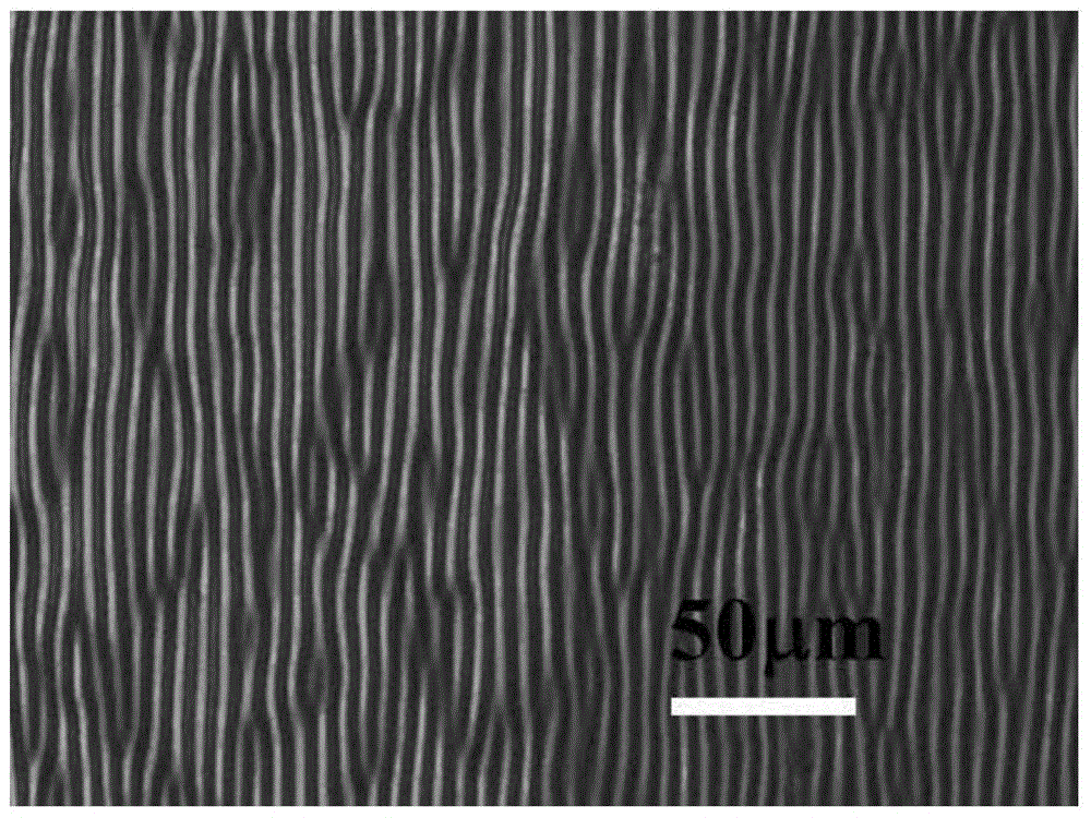 Method for stopping wrinkles from being formed on surface of azobenzene thin film by light illumination