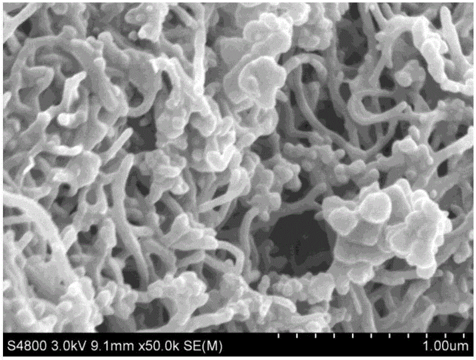 Method for preparing biochar/carbon nano-tubes for cathode materials for sodium ion batteries