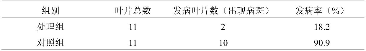 Liquid fertilizer for increasing rice yield and preparation method and application thereof