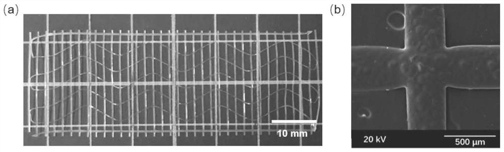 A medical periosteum support carrying ion and geometric pattern signals and its construction method