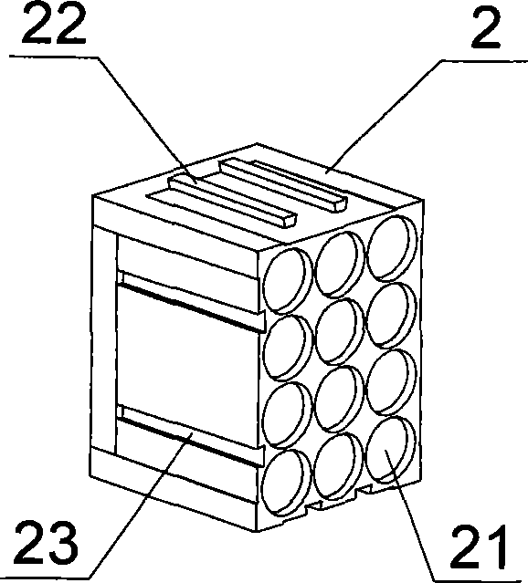 Lithium ionic cell module and cell set