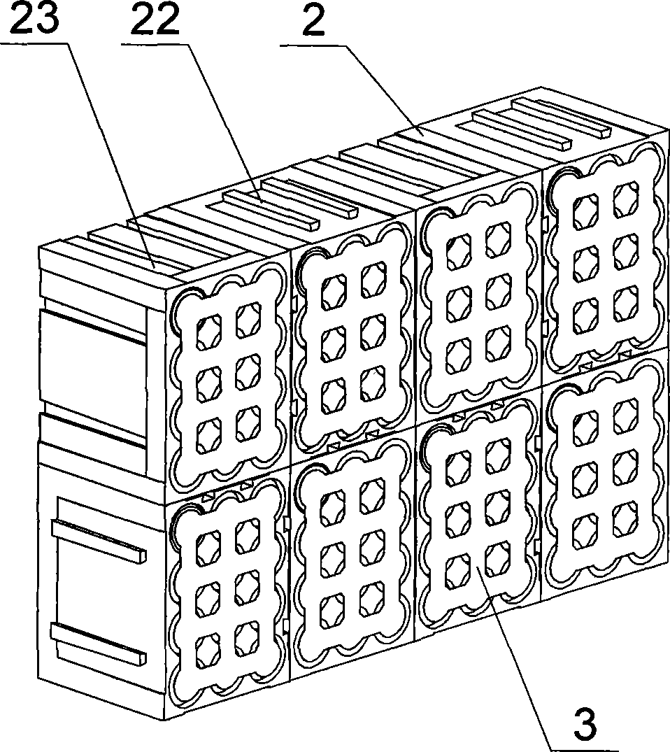 Lithium ionic cell module and cell set