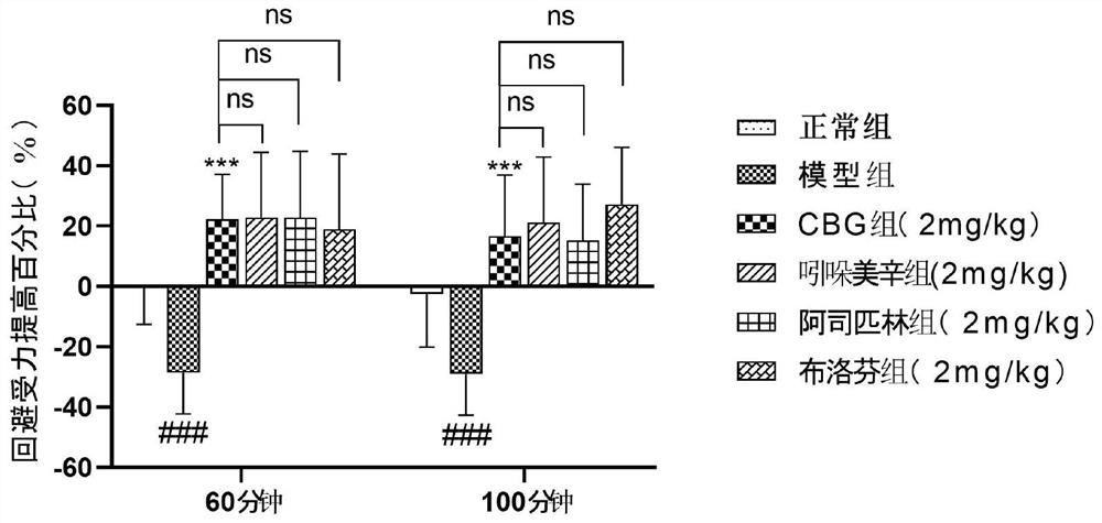 Application of cannabinoid molecules CBG in preparation of inflammatory pain drugs and medicinal preparation