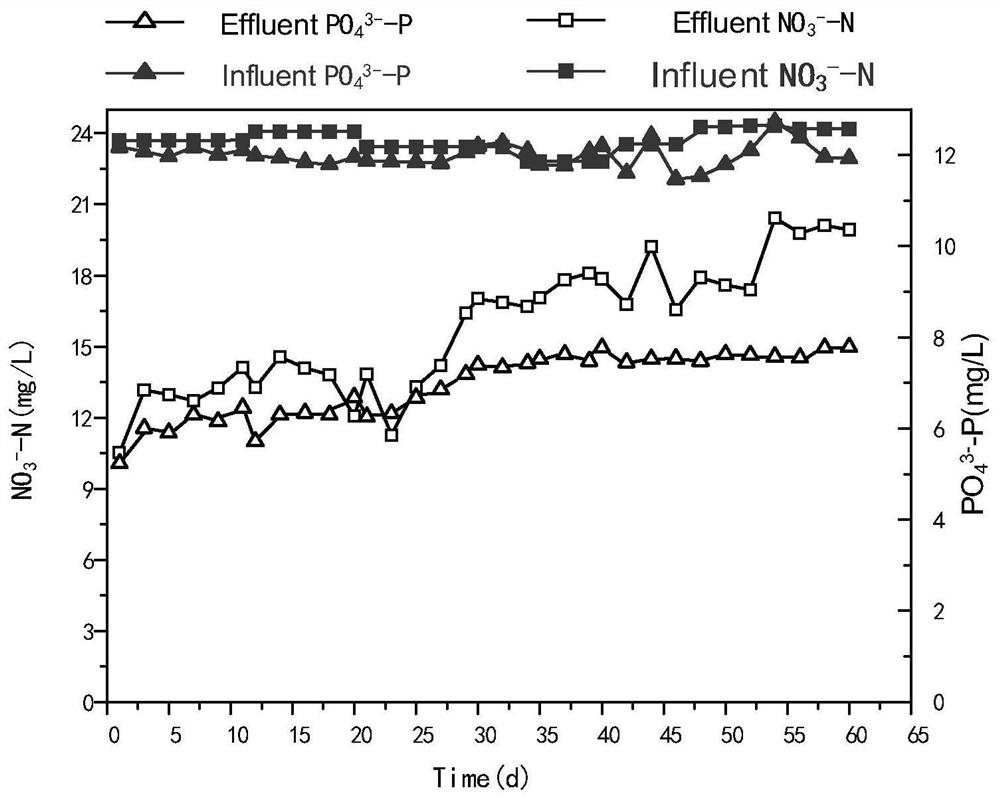 Water treatment device and treatment method for nitrogen and phosphorus removal