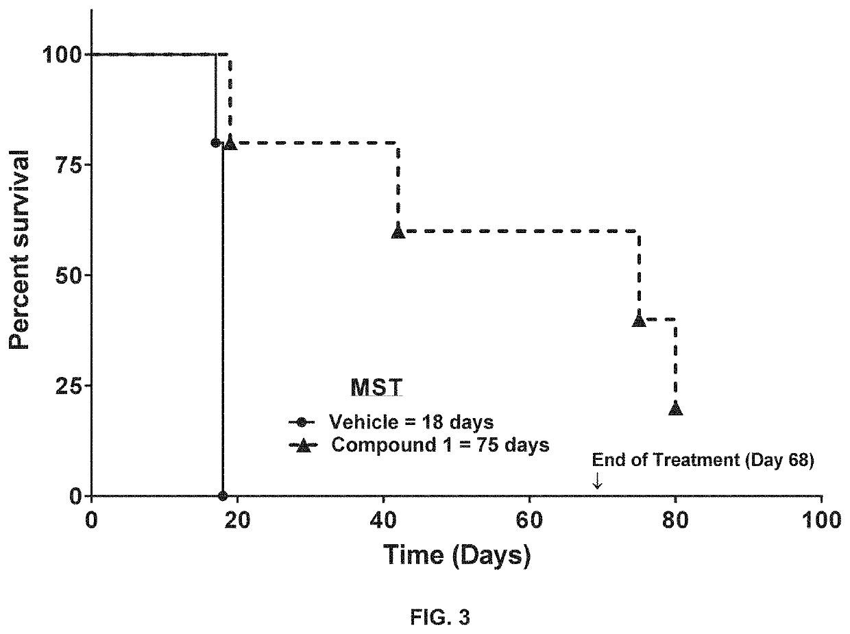 Method for treating an acute myeloid leukemia